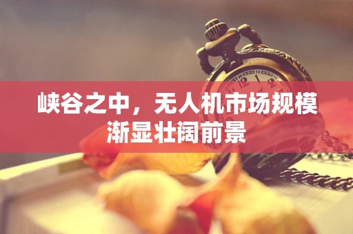峡谷之中，无人机市场规模渐显壮阔前景