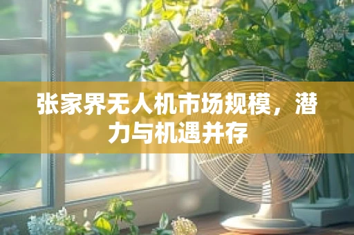 张家界无人机市场规模，潜力与机遇并存