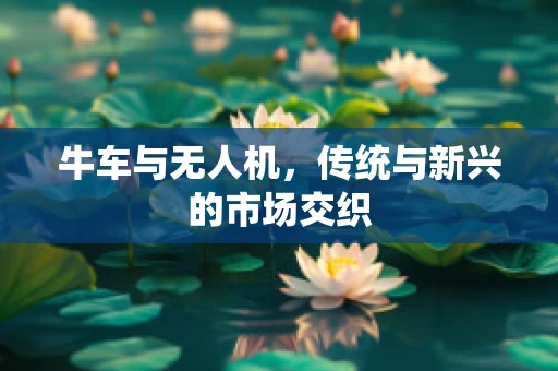 牛车与无人机，传统与新兴的市场交织