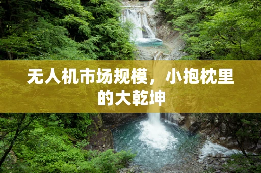 无人机市场规模，小抱枕里的大乾坤