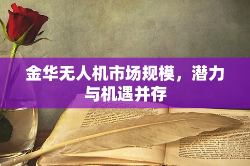 金华无人机市场规模，潜力与机遇并存