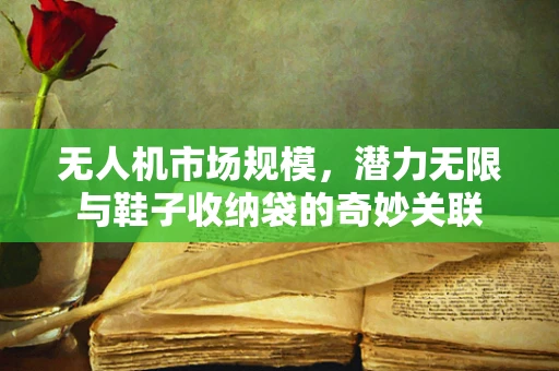 无人机市场规模，潜力无限与鞋子收纳袋的奇妙关联