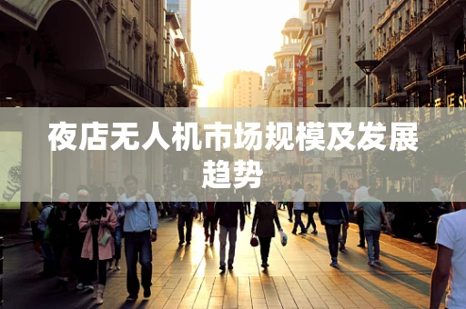夜店无人机市场规模及发展趋势