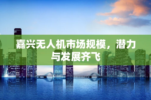 嘉兴无人机市场规模，潜力与发展齐飞