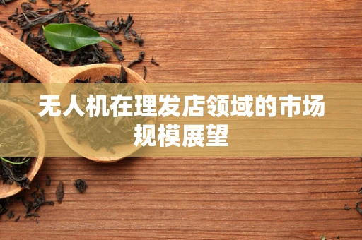 无人机在理发店领域的市场规模展望