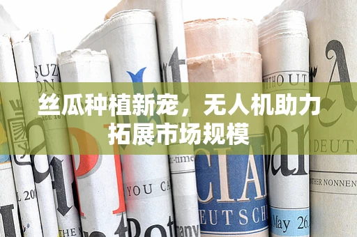 丝瓜种植新宠，无人机助力拓展市场规模