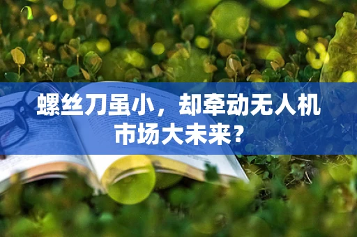 螺丝刀虽小，却牵动无人机市场大未来？