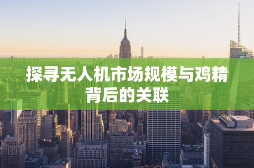 探寻无人机市场规模与鸡精背后的关联