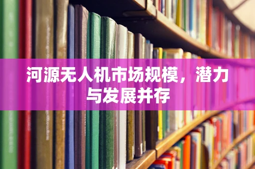 河源无人机市场规模，潜力与发展并存