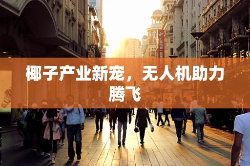 椰子产业新宠，无人机助力腾飞