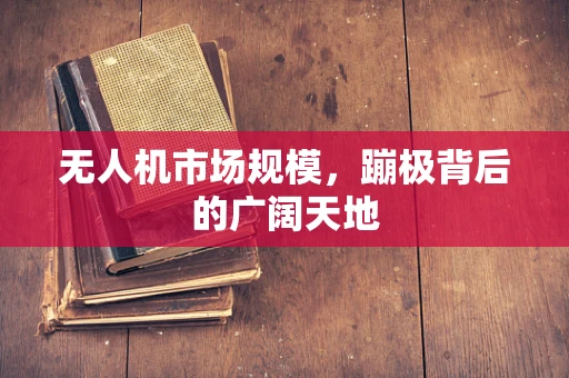 无人机市场规模，蹦极背后的广阔天地
