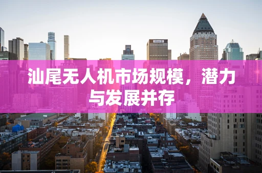 汕尾无人机市场规模，潜力与发展并存