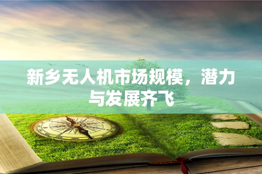 新乡无人机市场规模，潜力与发展齐飞