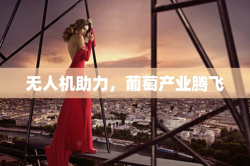 无人机助力，葡萄产业腾飞