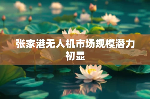 张家港无人机市场规模潜力初显