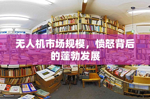 无人机市场规模，愤怒背后的蓬勃发展