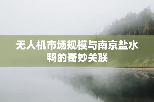 无人机市场规模与南京盐水鸭的奇妙关联