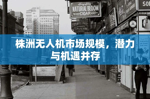 株洲无人机市场规模，潜力与机遇并存