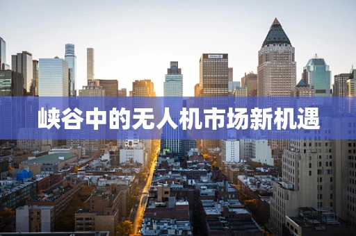 峡谷中的无人机市场新机遇
