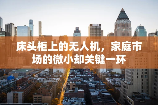 床头柜上的无人机，家庭市场的微小却关键一环