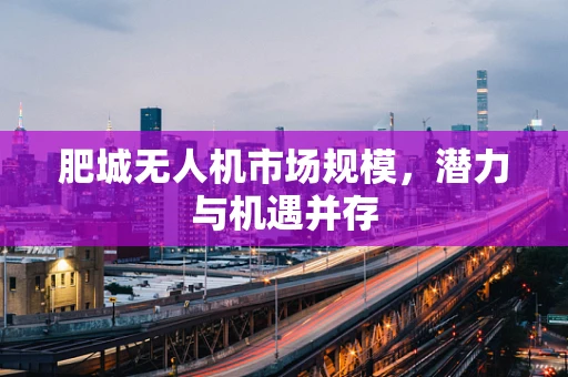 肥城无人机市场规模，潜力与机遇并存