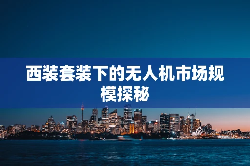 西装套装下的无人机市场规模探秘