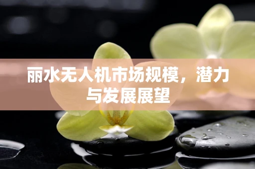 丽水无人机市场规模，潜力与发展展望