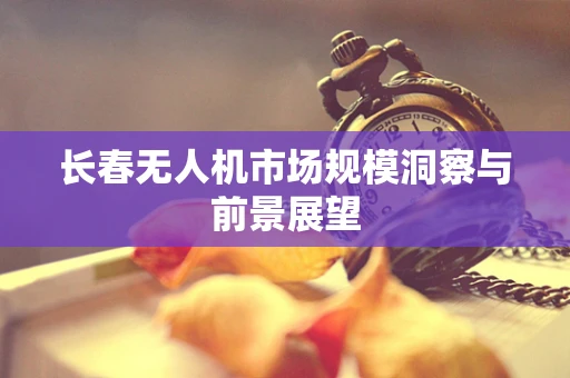长春无人机市场规模洞察与前景展望