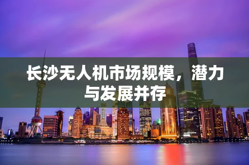 长沙无人机市场规模，潜力与发展并存