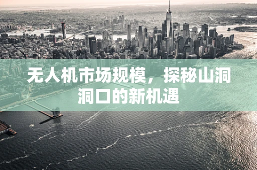 无人机市场规模，探秘山洞洞口的新机遇