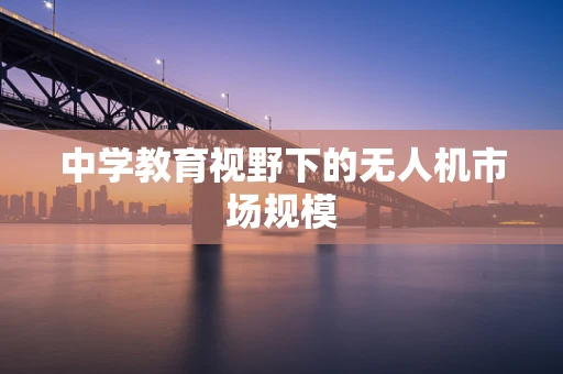 中学教育视野下的无人机市场规模