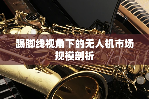 踢脚线视角下的无人机市场规模剖析