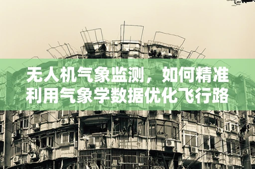 无人机气象监测，如何精准利用气象学数据优化飞行路径？