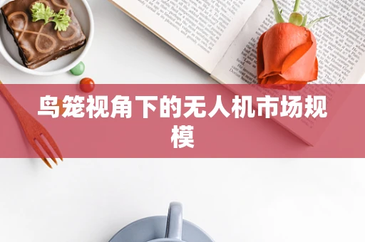 鸟笼视角下的无人机市场规模