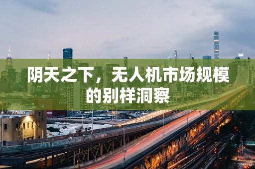 阴天之下，无人机市场规模的别样洞察