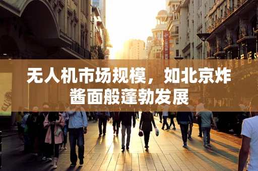 无人机市场规模，如北京炸酱面般蓬勃发展