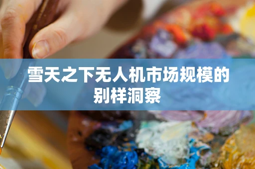 雪天之下无人机市场规模的别样洞察