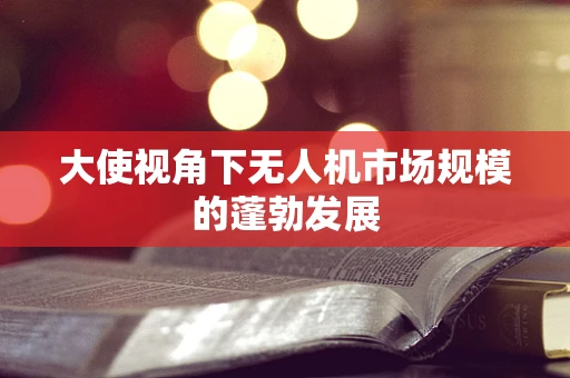 大使视角下无人机市场规模的蓬勃发展