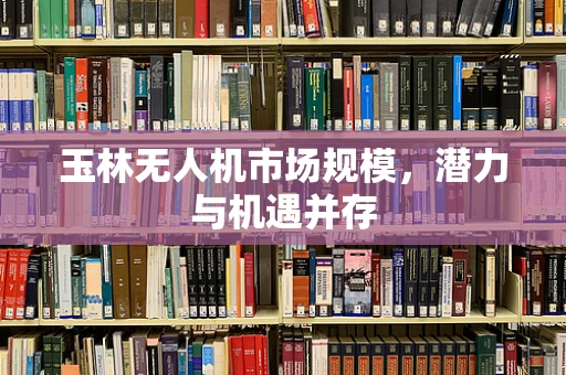 玉林无人机市场规模，潜力与机遇并存