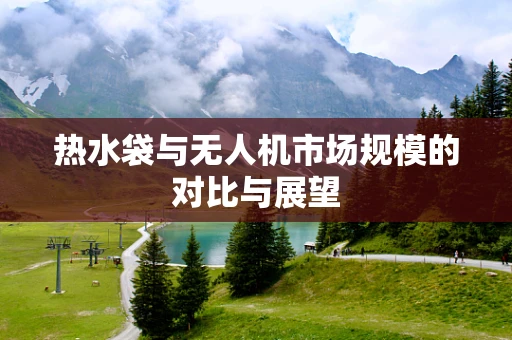 热水袋与无人机市场规模的对比与展望