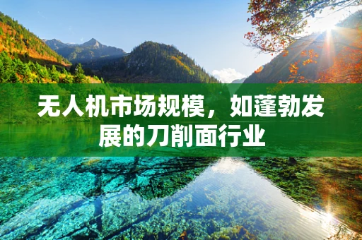 无人机市场规模，如蓬勃发展的刀削面行业