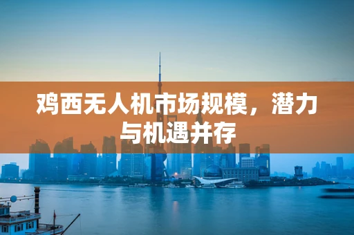 鸡西无人机市场规模，潜力与机遇并存
