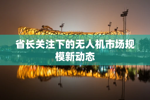 省长关注下的无人机市场规模新动态