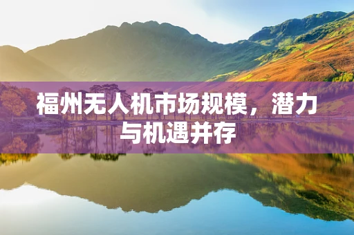 福州无人机市场规模，潜力与机遇并存