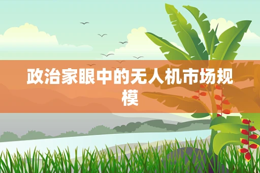 政治家眼中的无人机市场规模