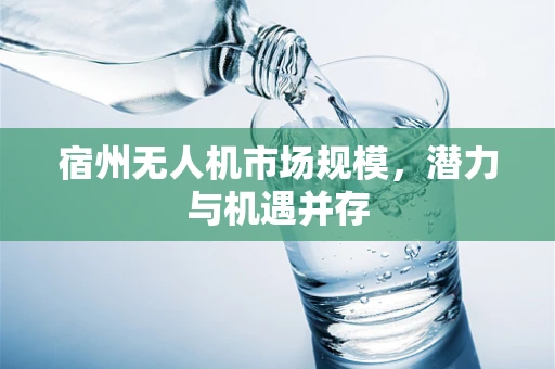 宿州无人机市场规模，潜力与机遇并存