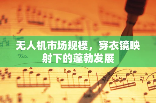 无人机市场规模，穿衣镜映射下的蓬勃发展