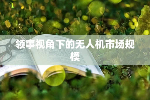 领事视角下的无人机市场规模