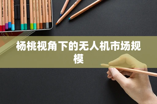 杨桃视角下的无人机市场规模