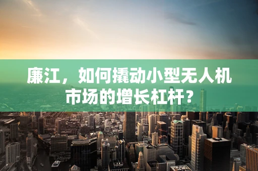 廉江，如何撬动小型无人机市场的增长杠杆？